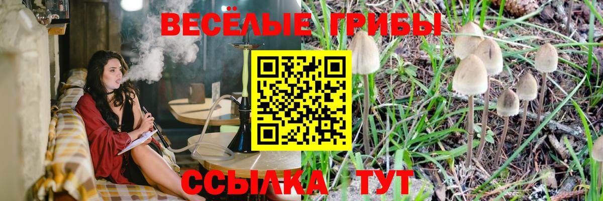 Кисловодск  Псилоцибиновые грибы ЛСД  Вход с VPN 